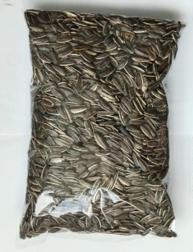 Semente de Girassol Miúdo 500g